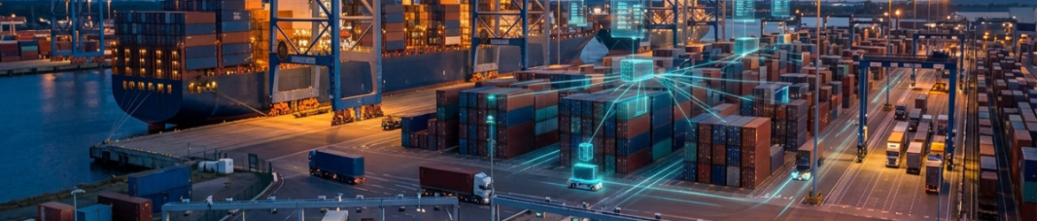 Port Automation Technology: Managing Peak Season Volumes Without Extra Staff